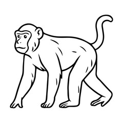 macaque vector realistic line icon on white background
Vector line icon animal, wildlife