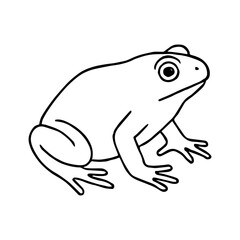 toad vector realistic line icon on white background
Vector line icon animal, wildlife