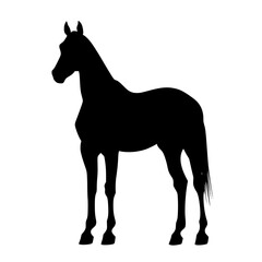 a black silhouette of a horse on a transparent background black, horse, silhouette, stand , Generative art.