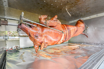 Barbecue with young pig grill Whole roasted piglet body turning on grill. Large barbecue in the process of cooking meat