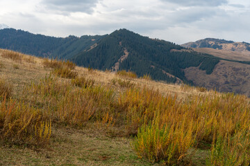 Golden autumn meadow with Tian Shan mountains under cloudy sky in the background, Kyrgyzstan...