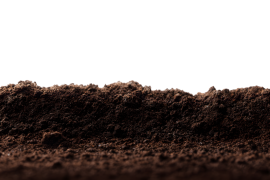 Rich dark brown soil texture against Transparent background ideal for agriculture or gardening design projects