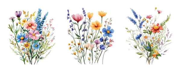 Watercolor bouquets of wildflowers. Bouquets of wildflowers cornflowers, chamomiles, lavender and other meadow flowers. Concept of a summer rustic bouquet of flowers.