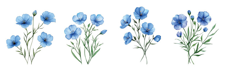 Watercolor set of blue flax flowers png. Field and meadow blue flowers watercolor png. Blue flax flowers isolated on white vector collection. Vector illustration. © Narin