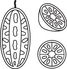 Pointed Gourd Vector with Cut View in Green Style for Seasonal Vegetable and Organic Food Icons