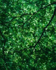 Fototapeta premium Evergreen Forest Bathing Lush green foliage with intricate branches creating a natural tapestry.