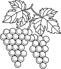 Fototapeta premium Grapes Vector with Purple Bunch and Green Leaves for Wine Fruit and Garden-Themed Projects