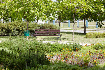 Rest area with bench surrounded by trees and ornamental shrubs in Kyiv, Europe. Place to rest in the city park at summer