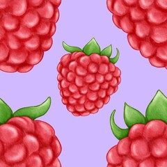 Ruspberry illustration, fruits background, watercolor ruspberry, berry illustration, freshness food, pattern