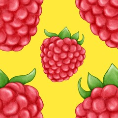 Ruspberry illustration, fruits background, watercolor ruspberry, berry illustration, freshness food, pattern