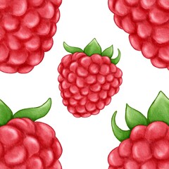 Ruspberry illustration, fruits background, watercolor ruspberry, berry illustration, freshness food, pattern
