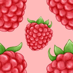 Ruspberry illustration, fruits background, watercolor ruspberry, berry illustration, freshness food, pattern