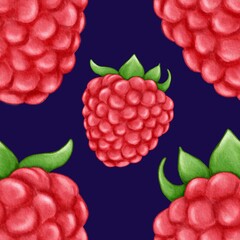 Ruspberry illustration, fruits background, watercolor ruspberry, berry illustration, freshness food, pattern