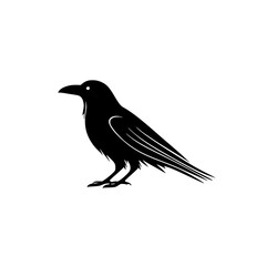 Fototapeta premium the black silhouette of a crow on a transparent background bird, black, crow, illustration, raven, silhouette , Generative art.