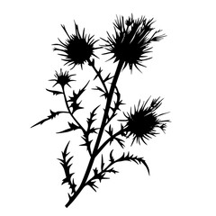 Obraz premium a black and white picture of a plant, an icon on a transparent background black, flower, icon, illustration, picture, plant, silhouette, white , Generative art.