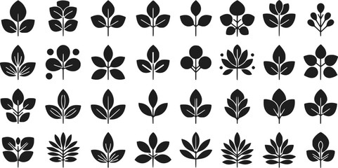 30 Black Silhouette Leaf and Plant Icons Botanical Vector Illustration