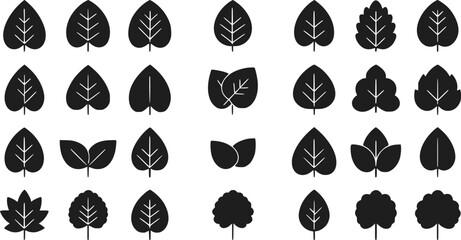 Fototapeta premium 30 Black Leaf Icons Nature Symbols Vector Illustration Foliage Shapes