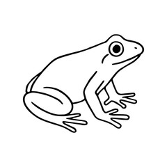 frog vector realistic line icon on white background
Vector line icon animal, wildlife