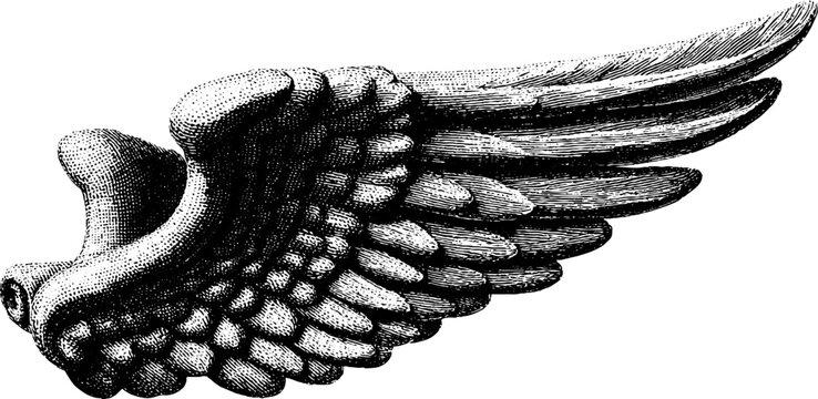 Engraved illustration of winged nike sculpture for artistic designs