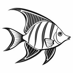 Black and White Striped Angelfish Illustration