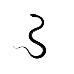 a symbol of a black snake on a transparent background black, snake, symbol, tail , Generative art.