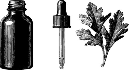 Vintage engraved set featuring bitter bottle, dropper, and herb illustration for design