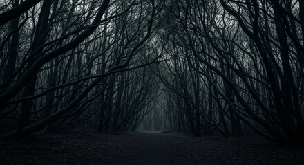 Obraz premium Dark Forest Path - A mysterious path winds through a dense, dark forest shrouded in mist. The scene evokes a sense of mystery and intrigue