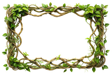 twisted jungle vines frame isolated on white