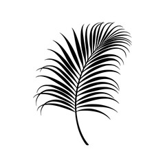 Obraz premium a black silhouette of a leaf of a palm tree black, leaf, palm tree, plant, shadow, silhouette , Generative art.