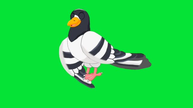 2D Animation of a dove talking in Place with Movement (Looping) on a Green Screen Background