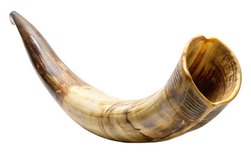 old shofar horn isolated on white