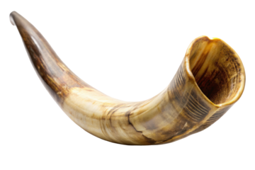 old shofar horn isolated on white