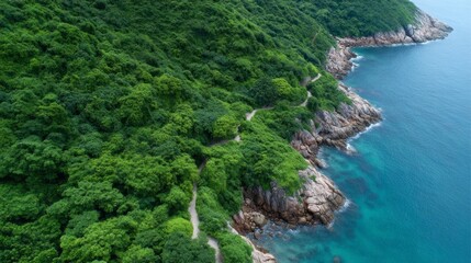 Obraz premium An emerald coastal path winding through lush foliage meets azure whispers of the ocean, evoking Tuvalus joyous Te Ano holiday