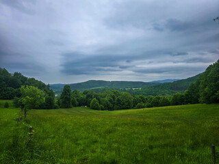 Nature Harmony Living Landscapes nature