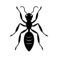 Pharaoh Ant Silhouette Vector Illustration