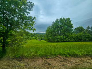 Nature Harmony Living Landscapes nature