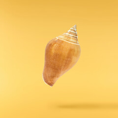 Colorful Seashells falling in the air isolated on yellow background. Summer time concept.