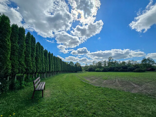 Tranquil Lounge Area in Botanical Garden Where Nature Meets Comfort