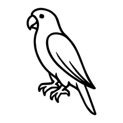 parrot vector realistic line icon on white background
Vector line icon animal, wildlife
