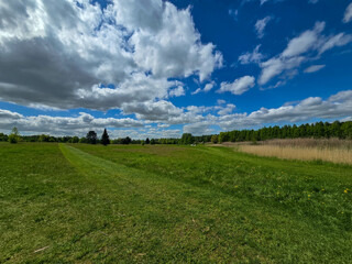Sunlit Landscape Nature s Harmony
