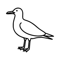 seagull vector realistic line icon on white background
Vector line icon animal, wildlife