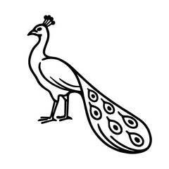 peacock vector realistic line icon on white background
Vector line icon animal, wildlife