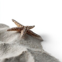 Serene starfish resting on ivory sands evokes coastal tranquility, celebrating World Ocean Day and the whimsical La Mer Festival