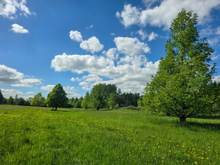 Sunlit Landscape Nature s Harmony