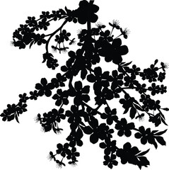 silhouette of tree blossoming branches on white