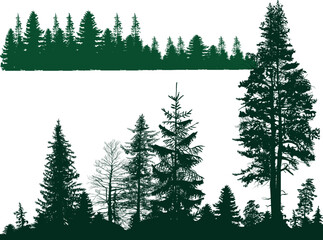 two lines with  fir forest green silhouettes