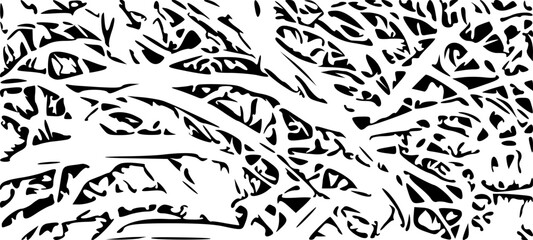 seamless pattern with zebra