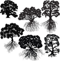 six trees with roots on white
