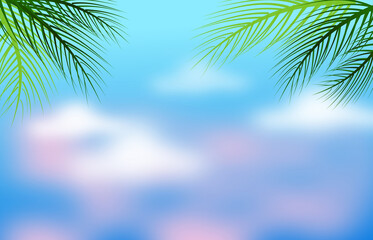 Summer Sky Background