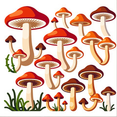 Mushroom Delight - Colorful Mushroom Illustration - Forest Fungi Art - Nature Inspired Design - Whimsical Mushroom Collection - Woodland Decoration
